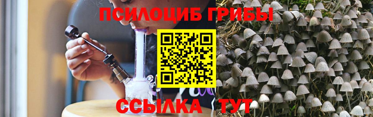 Димитровград  Галлюциногенные грибы прущие грибы  Вход с VPN  Галлюциногенные грибы Magic Shrooms 