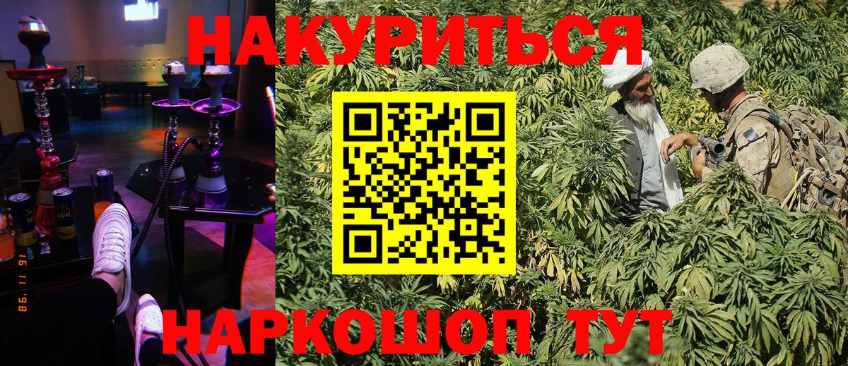 Бошки Шишки сатива Димитровград